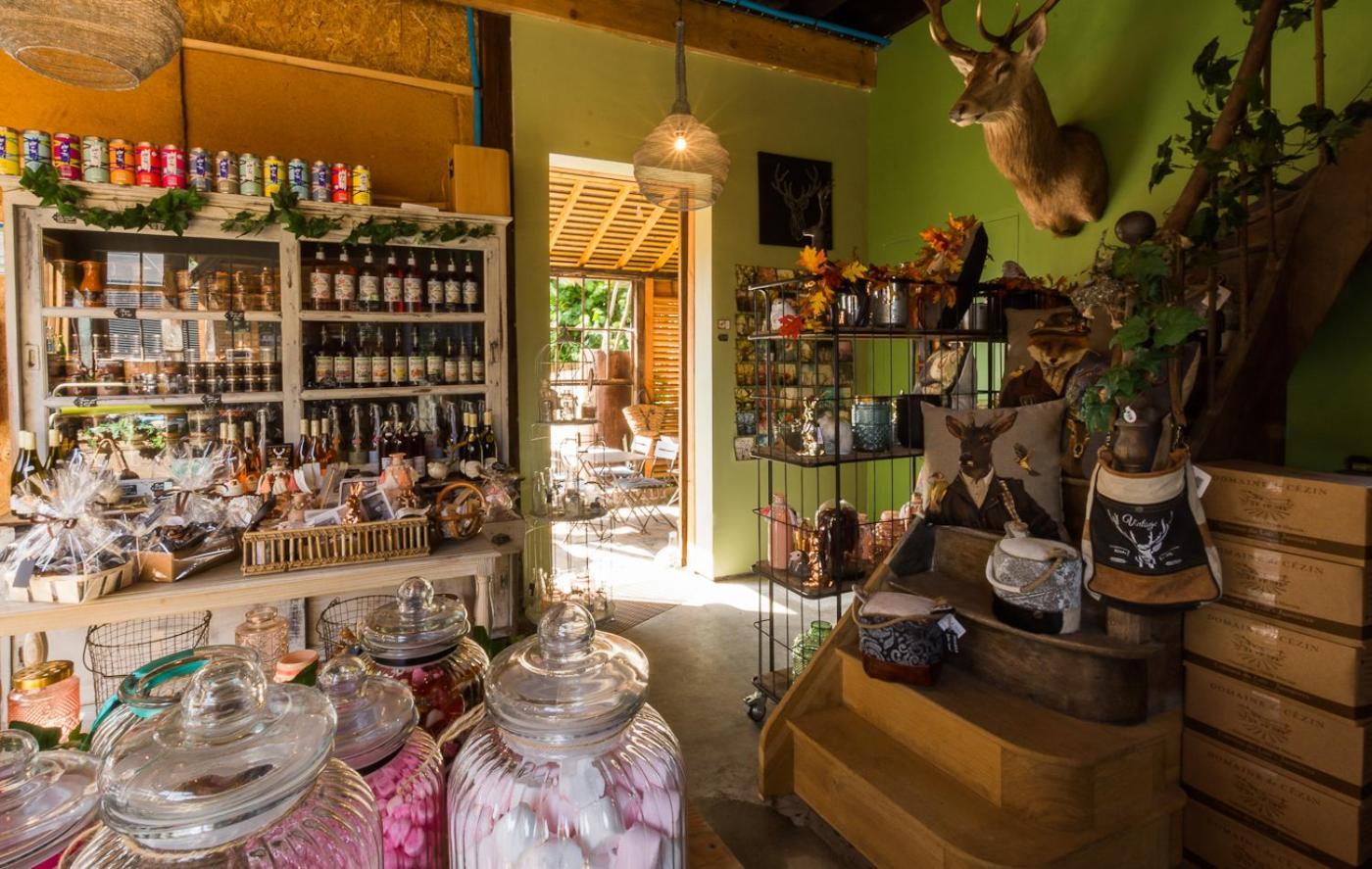 La Haute Forge Maison D'Hotes Thoire-sur-Dinan Bilik gambar